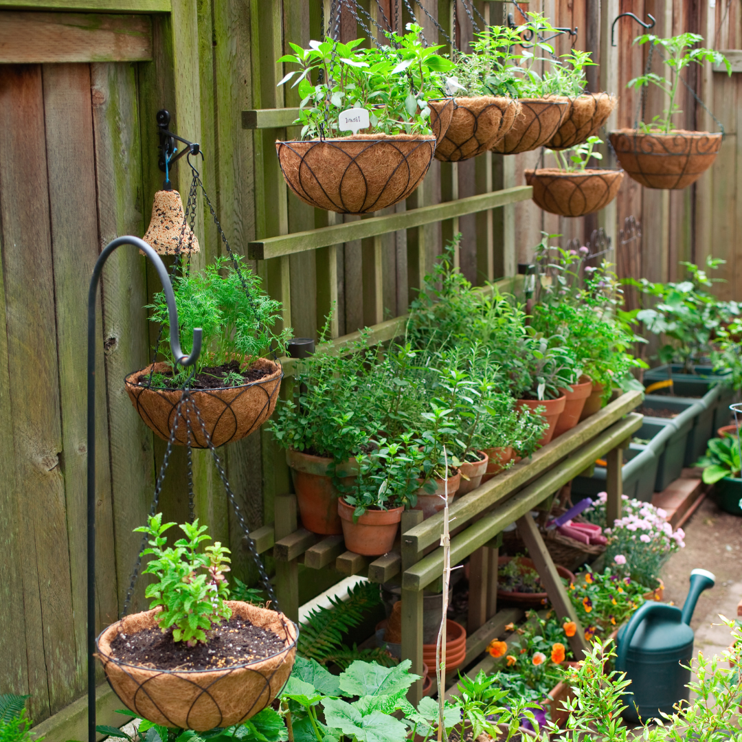 Tips & Tricks: Container Gardening