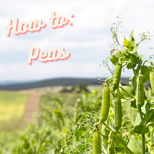 How to: Peas