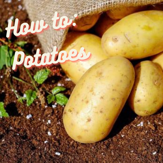 How to: Potatoes