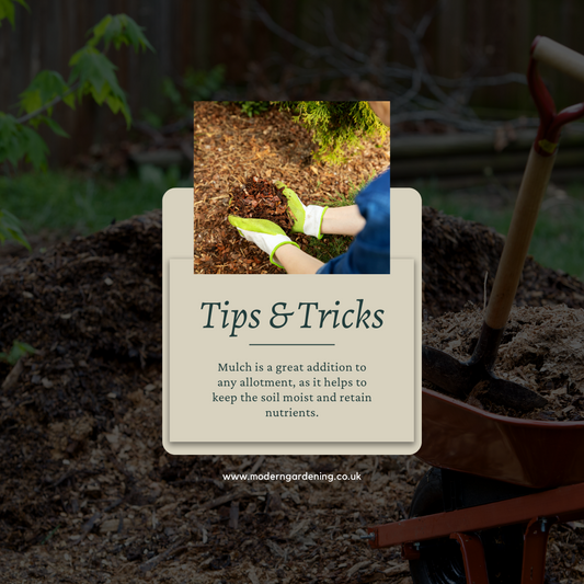 Tips & Tricks: Mulch