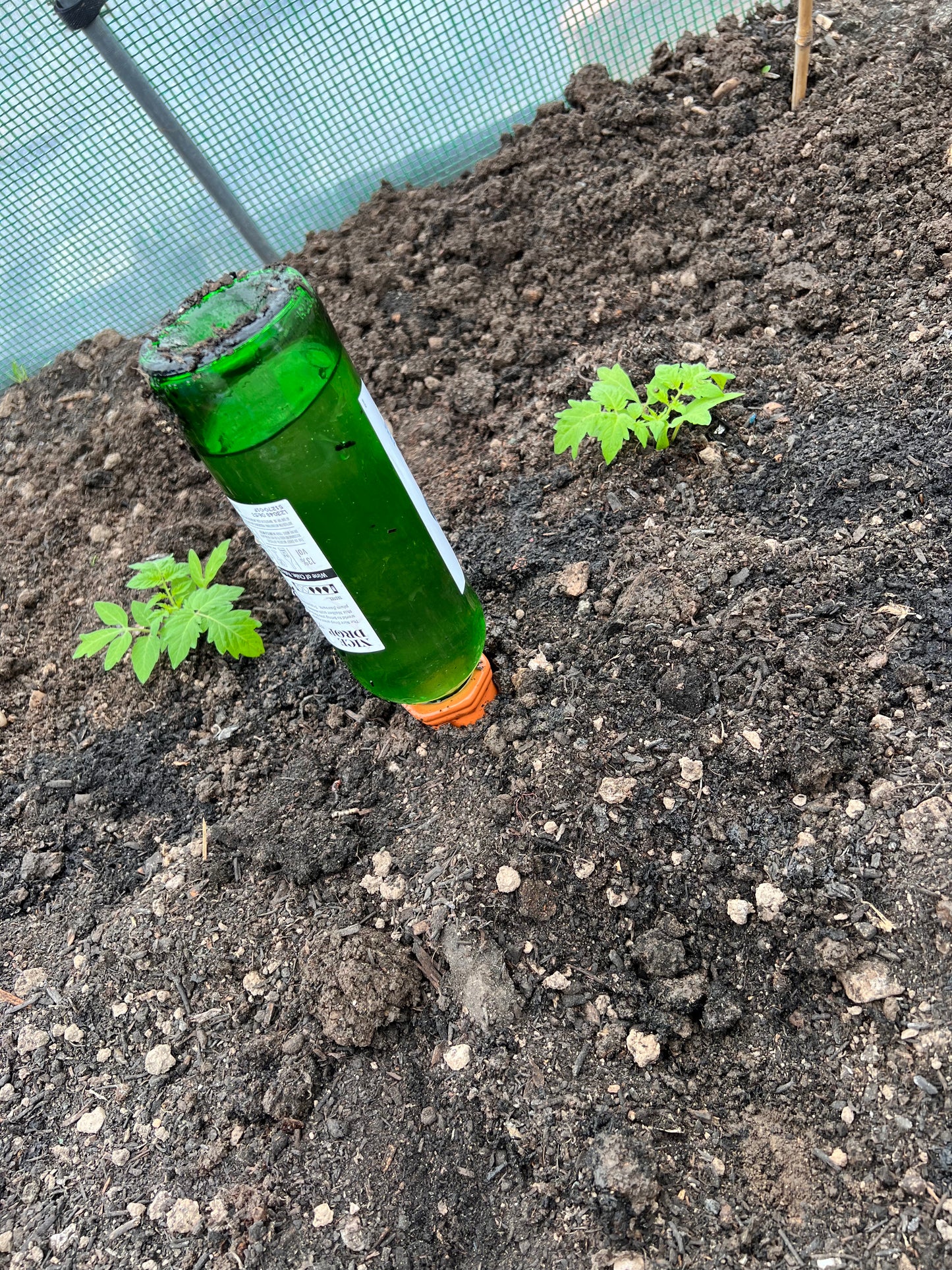 Plant Watering Spikes