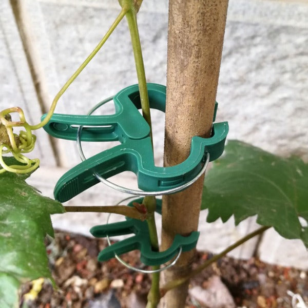 20Pcs Reusable plant clips