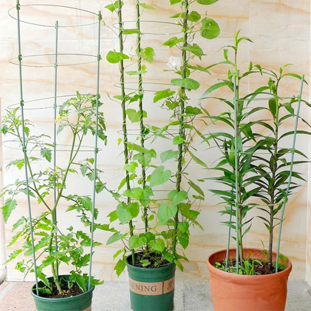 Climbing potted plant support frame trellis