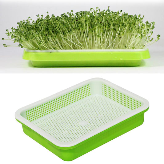 Seedling Tray Hydroponic