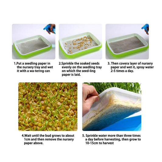 Seedling Tray Hydroponic